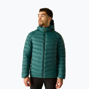 Kurtka ocieplana męska Dare 2b Torrek Padded Jacket mediterranea