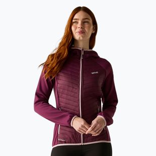 Kurtka hybrydowa damska REGATTA Andreson Hybrid fig