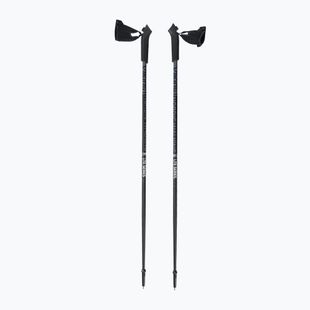 Kije nordic walking Viking Lite Pro grey