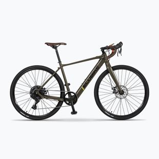 Rower elektryczny EcoBike Forest 36V 9.7Ah 349.2Wh green