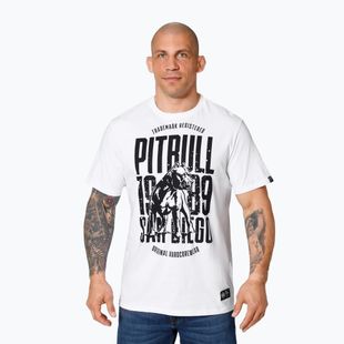 Koszulka męska Pitbull San Diego Dog white