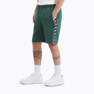 Spodenki męskie Pitbull Track Shorts Powers bottle green