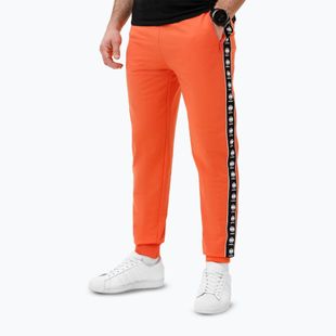 Spodnie męskie Pitbull Tape Nugget Jogging bright salmon