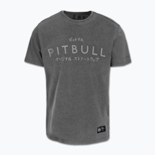 Koszulka męska Pitbull Mt. Fuji washed grey