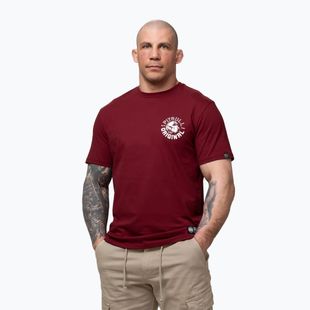 Koszulka męska Pitbull Dog SD burgundy