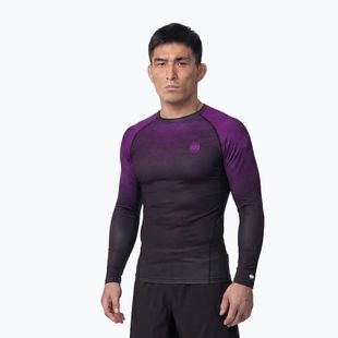 Rashguard longsleeve męski Pitbull Belt Rashguard purple