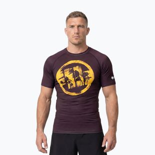 Koszulka męska Pitbull Rashguard Logo Palms brown