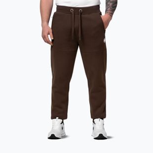 Spodnie męskie Pitbull Small Logo HD Track coyote brown