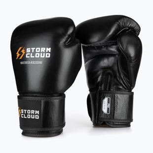 Rękawice bokserskie StormCloud Muay Thai Blizzard 2.0 black/white