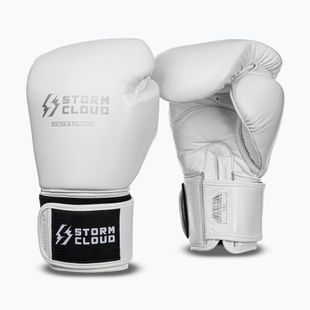 Rękawice bokserskie StormCloud Muay Thai Blizzard 2.0 white/silver