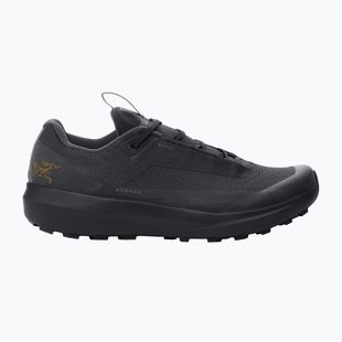 Buty do biegania męskie Arcteryx Norvan LD 4 GTX black/black