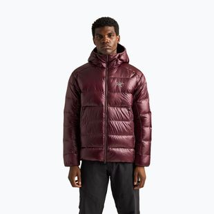 Kurtka ocieplana męska Arcteryx Cerium SV Hoody ultima