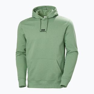 Bluza męska Helly Hansen Yu Hoodie 2.0 jade 2.0