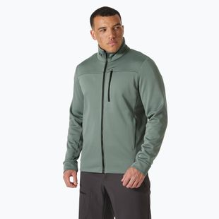 Bluza męska Helly Hansen Crew grey cactus