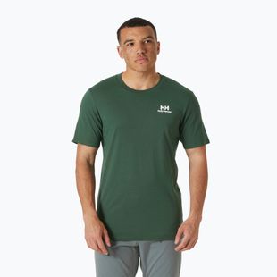 Koszulka męska Helly Hansen Nord Graphic jungle green