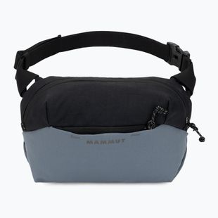 Saszetka nerka Mammut Alto Waistpack 2 l strata