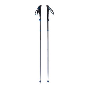 Kije trekkingowe Black Diamond Distance FLZ pewter