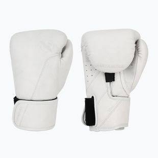 Rękawice bokserskie Hayabusa T360 Leather white