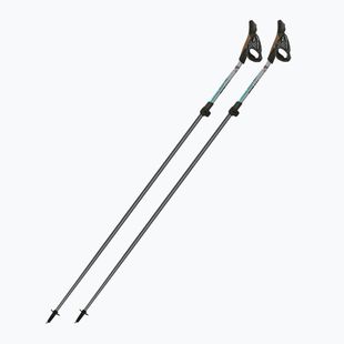 Kije nordic walking Fizan Carbon Pro Impulse grey