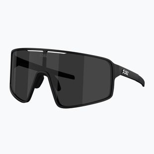 Okulary przeciwsłoneczne Bliz P001 matte black/smoke
