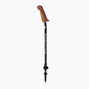 Kije nordic walking Fizan Walx Xplorer grey