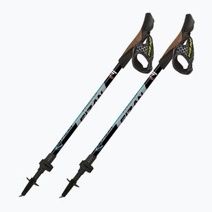 Kije nordic walking Fizan R-evolution grey/ocean