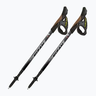 Kije nordic walking Fizan Lite 4 grey