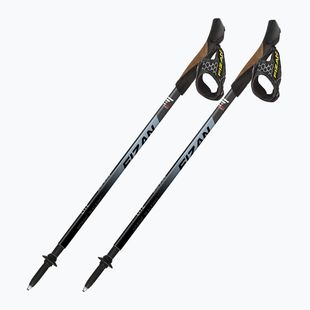 Kije nordic walking Fizan Lite sugar paper