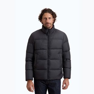 Kurtka męska Kurtka Woolrich Cloud Eagle falcon