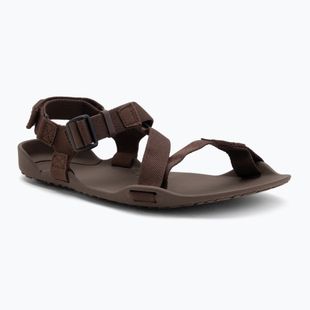 Sandały barefoot męskie Xero Shoes Z-Trek brown
