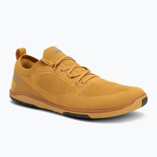 Buty barefoot damskie Xero Shoes Nexus Knit gold