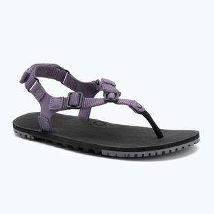 Sandały barefoot damskie Xero Shoes H-Trail sage purple