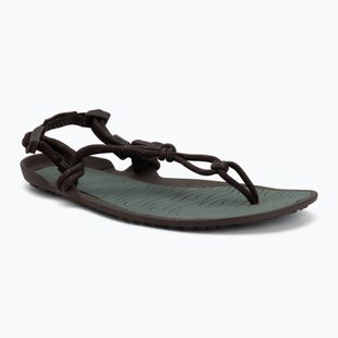 Sandały barefoot męskie Xero Shoes Aqua Cloud java/brown/dark/forest
