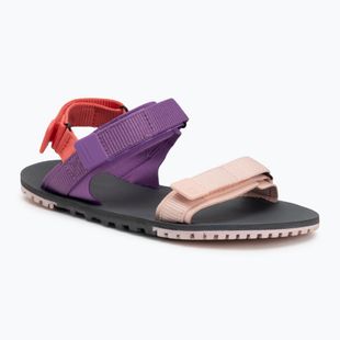 Sandały barefoot damskie Xero Shoes D-Trail dewberry/multi