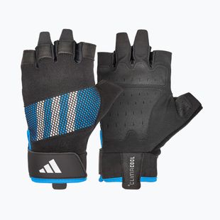 Rękawiczki treningowe adidas Performance Training Gloves blue