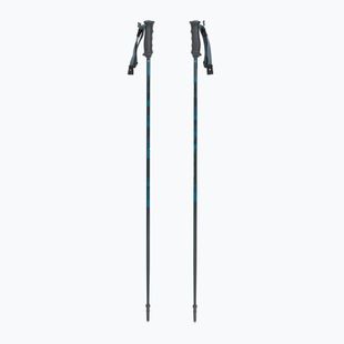 Kije narciarskie Fischer RC4 Noize grey / blue