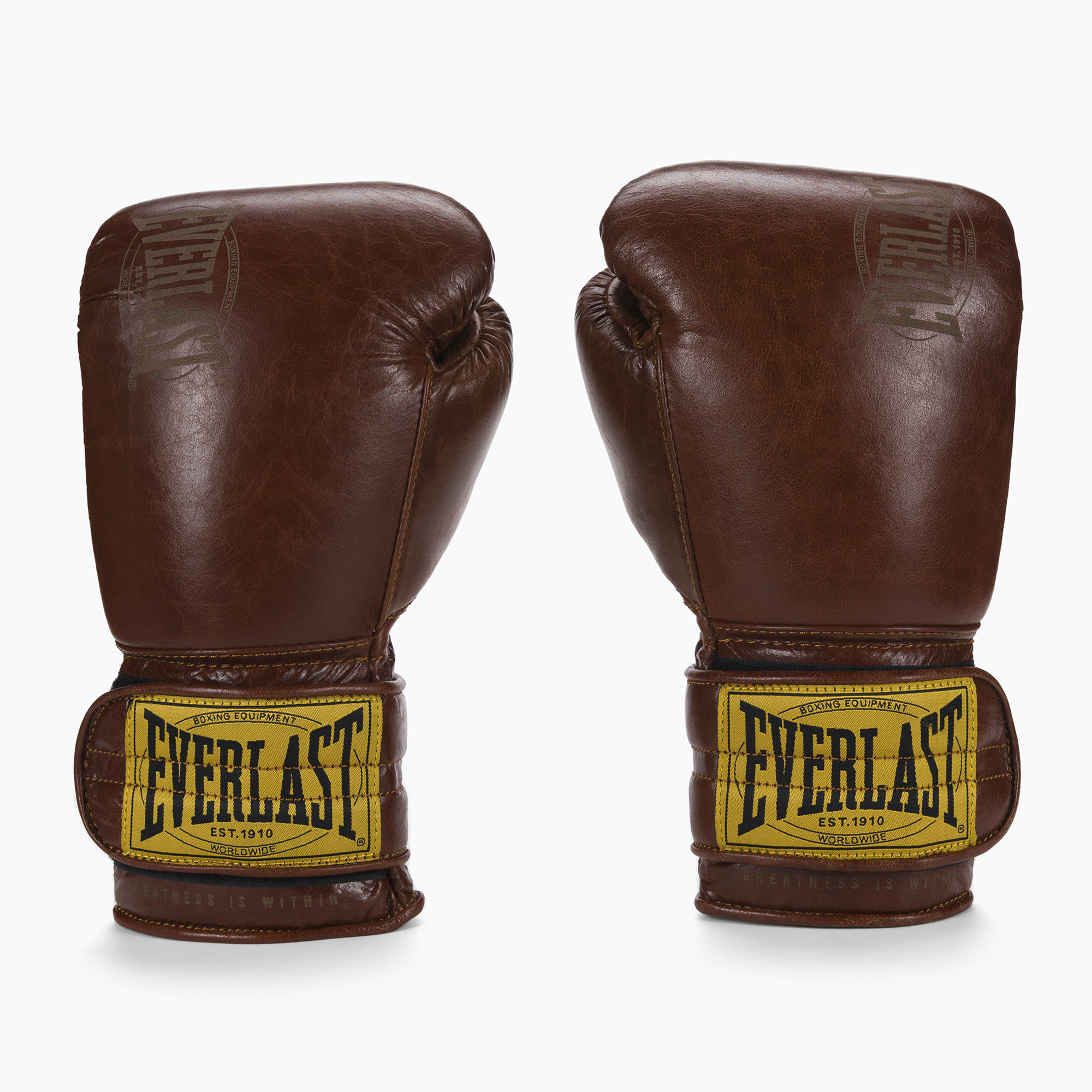 Rękawice bokserskie Everlast 1910 Classic Pro brązowe EV1910PRO | WYSYŁKA W 24H | 30 DNI NA ZWROT