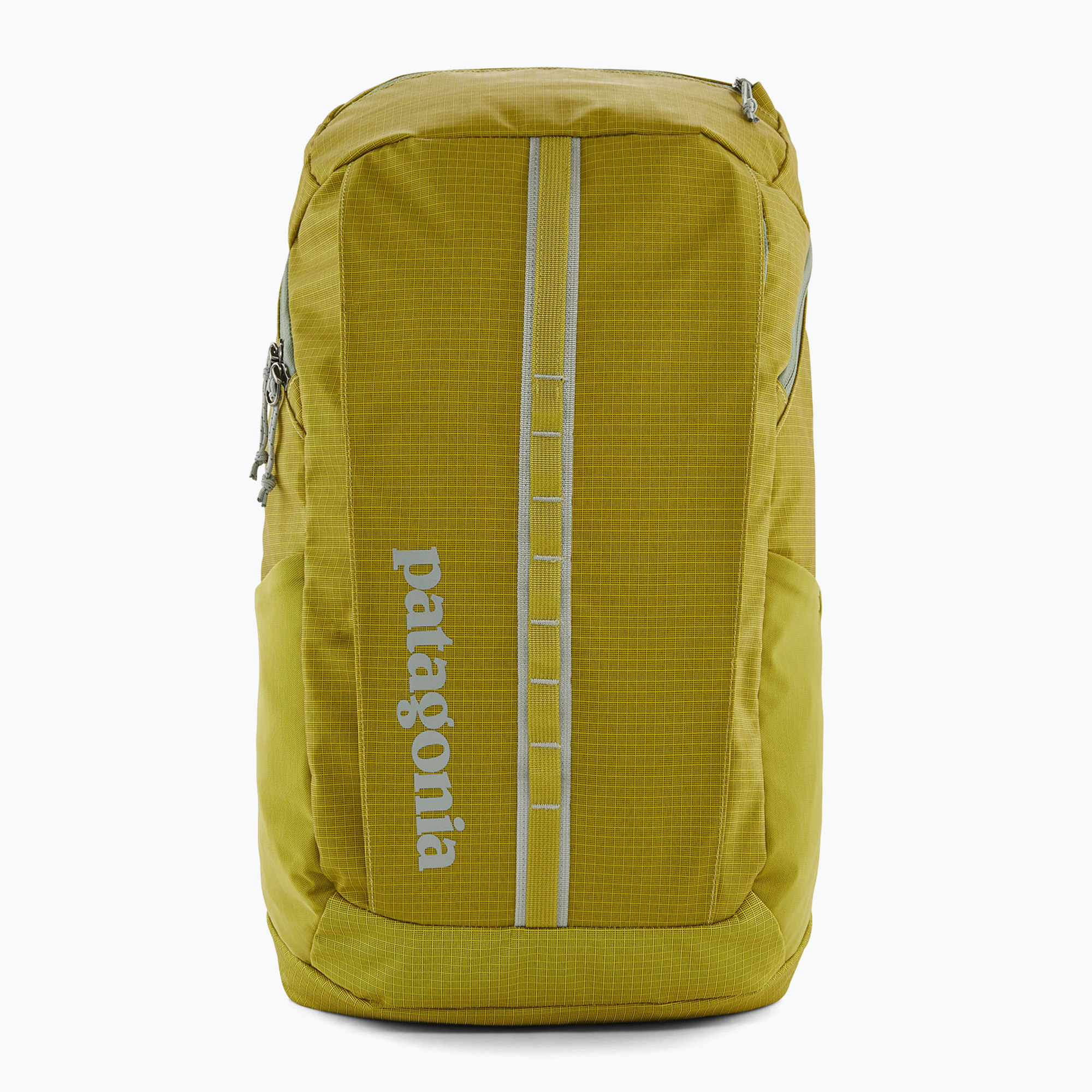 Plecak turystyczny Patagonia Black Hole Pack 25 l shrub green | WYSYŁKA W 24H | 30 DNI NA ZWROT
