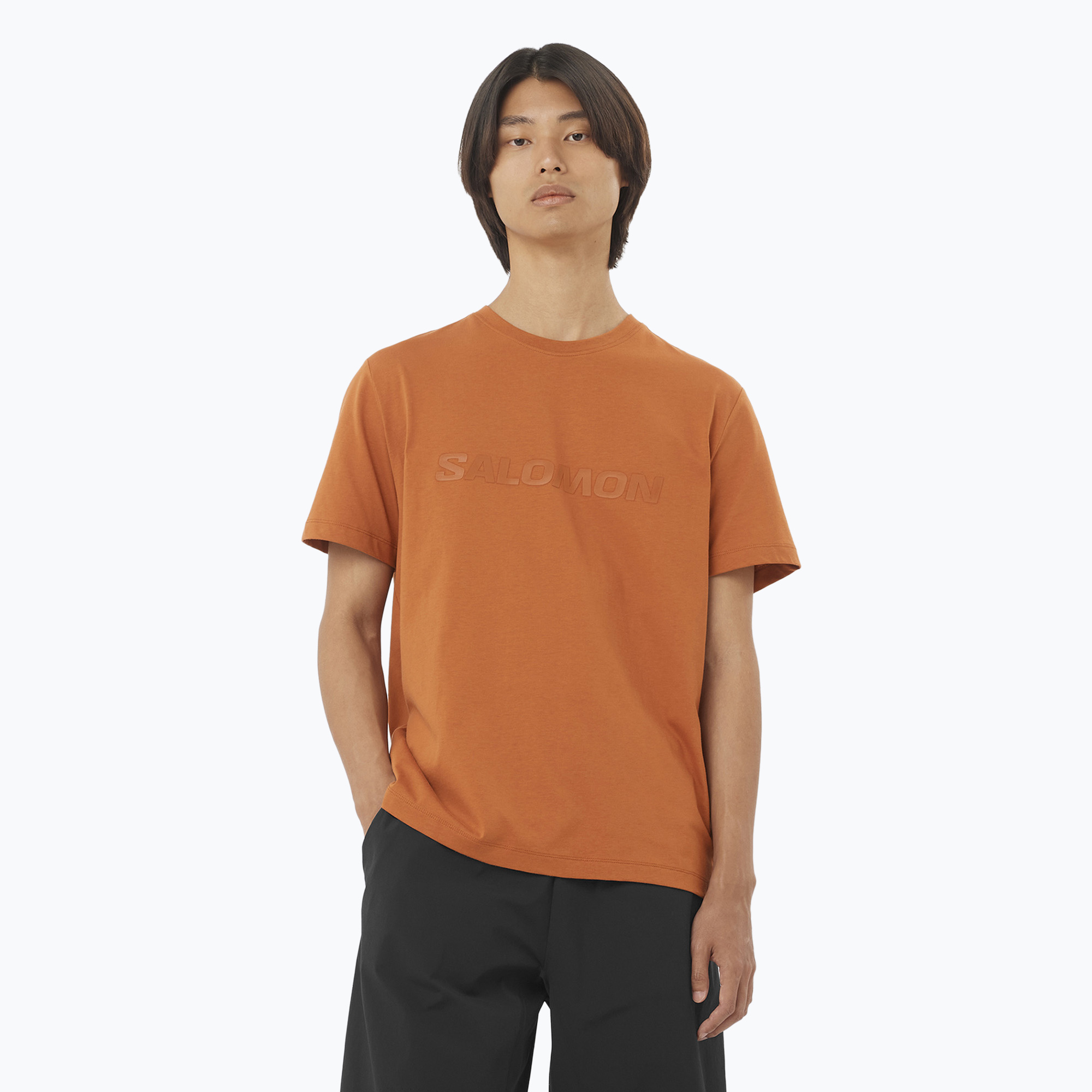 Koszulka męska Salomon Big Logo Tee sierra 