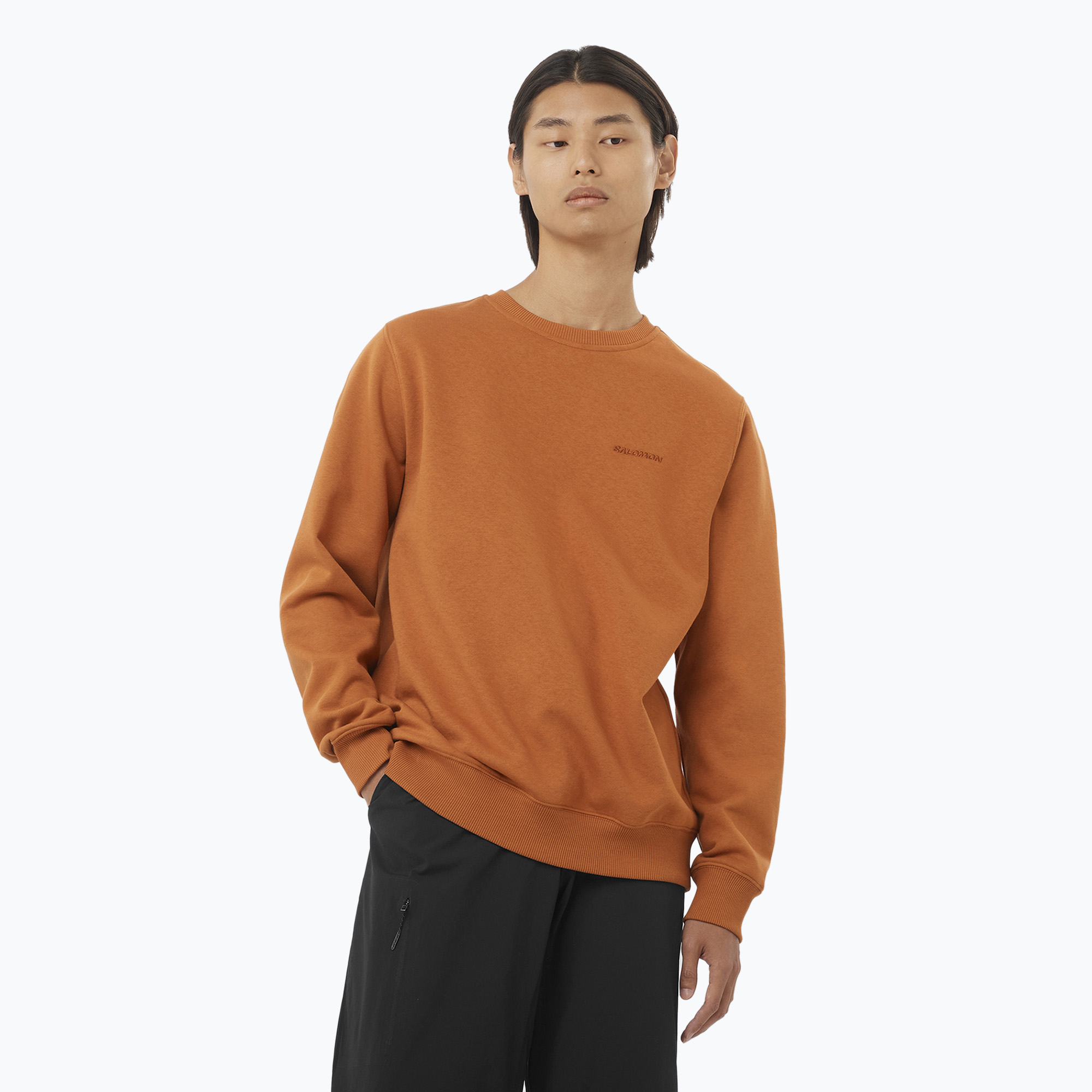 Bluza męska Salomon Logo Crewneck sierra 