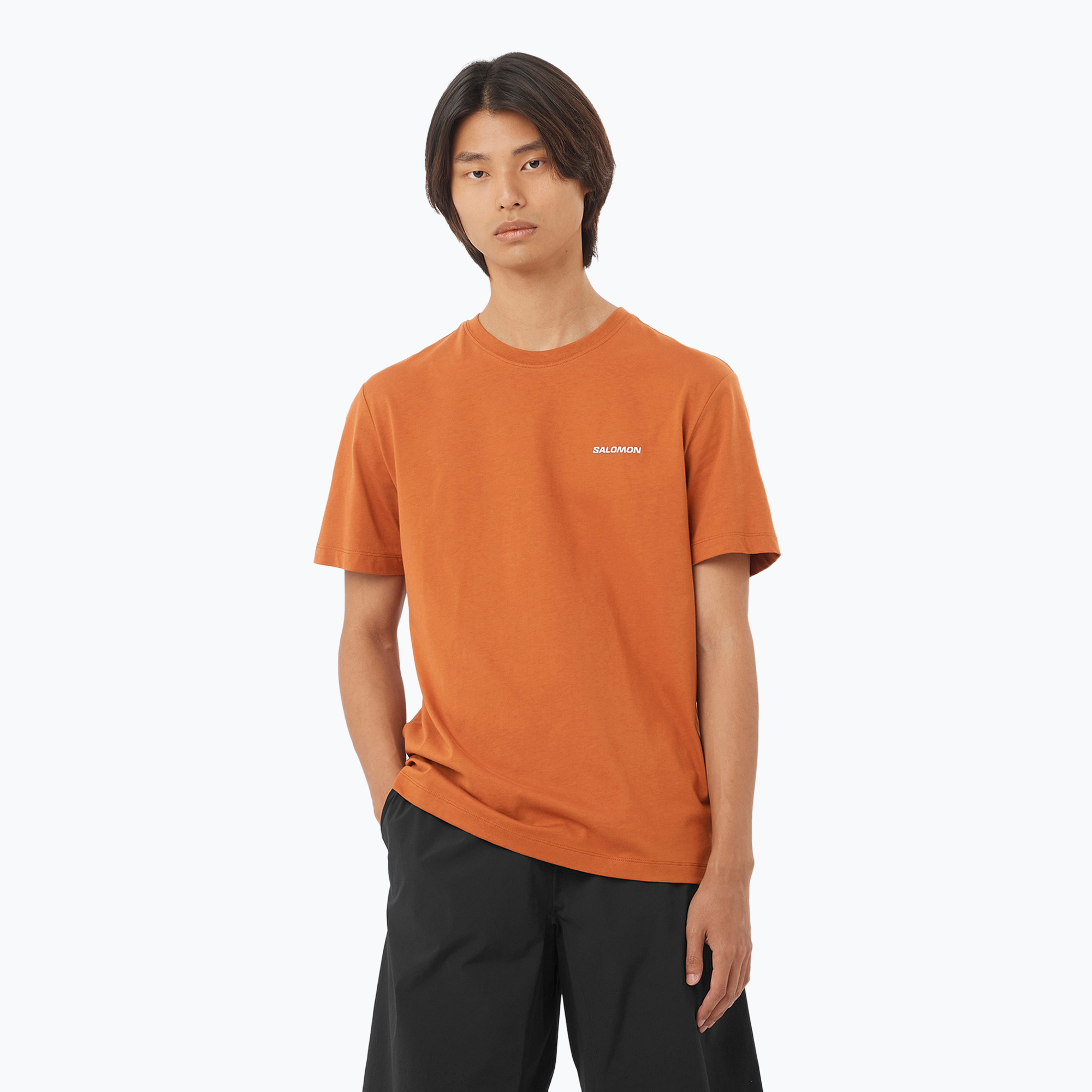 Koszulka męska Salomon Logo Tee sierra 