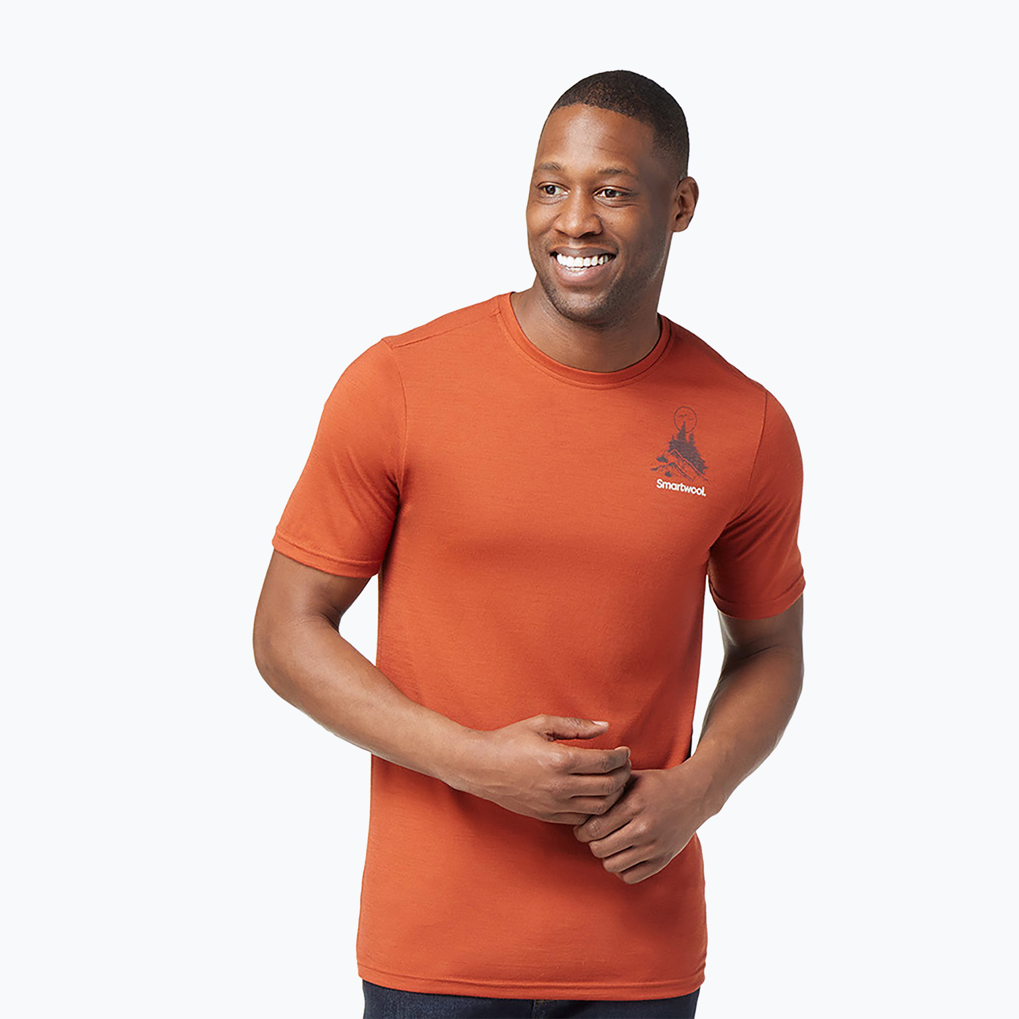 Koszulka trekkingowa męska Smartwool Wilderness Summit Graphic Tee brązowa SW016673J33 | WYSYŁKA W 24H | 30 DNI NA ZWROT