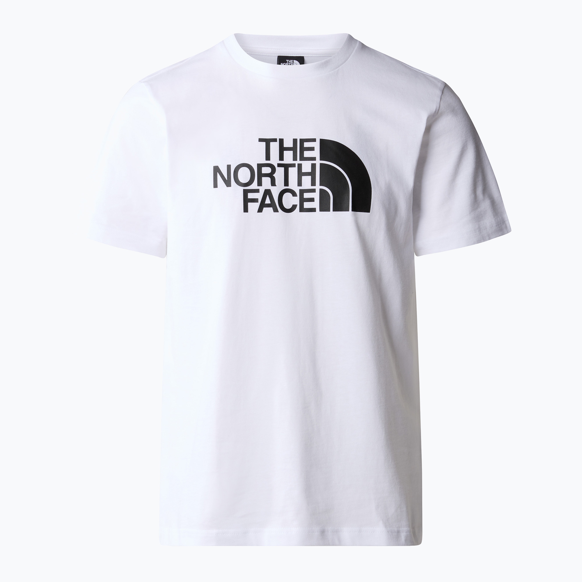Koszulka męska The North Face Easy white | WYSYŁKA W 24H | 30 DNI NA ZWROT