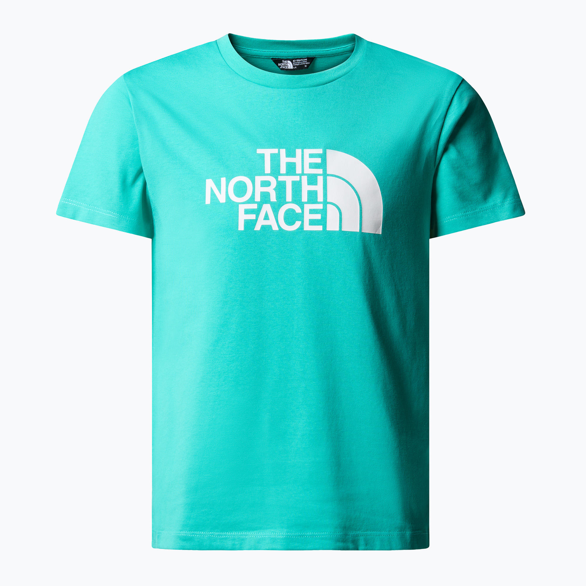 Koszulka dziecięca The North Face Easy geyser aqua | WYSYŁKA W 24H | 30 DNI NA ZWROT