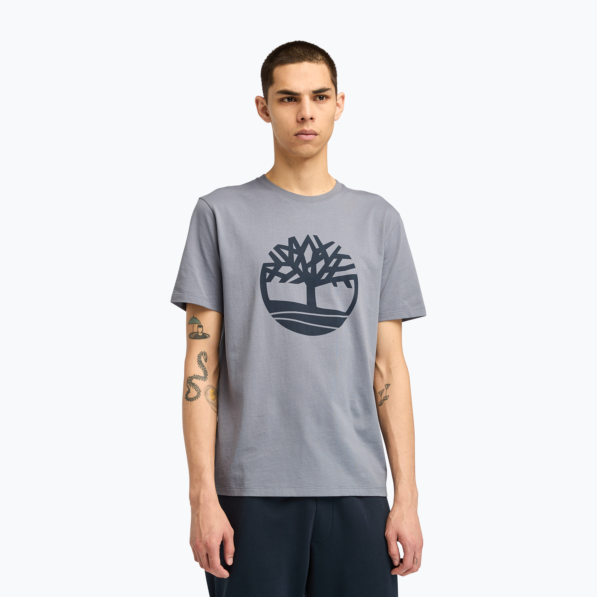 Koszulka męska Timberland Tfo Tree Logo folstone grey | WYSYŁKA W 24H | 30 DNI NA ZWROT