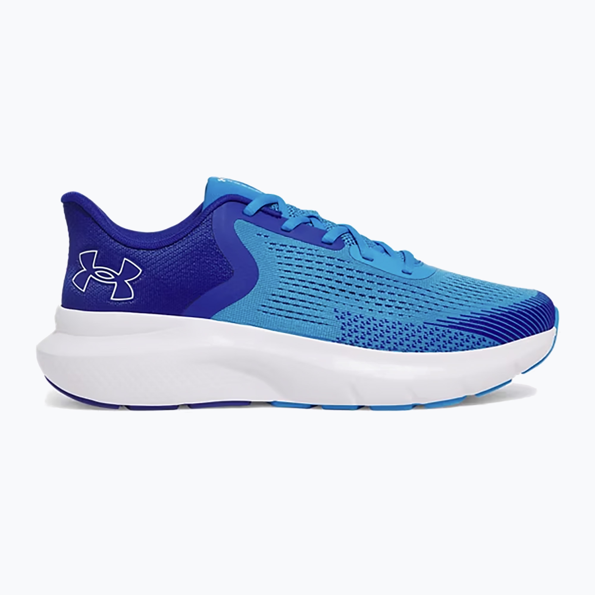 Buty do biegania męskie Under Armour Charged Rogue 5 electric blue/royal/white 
