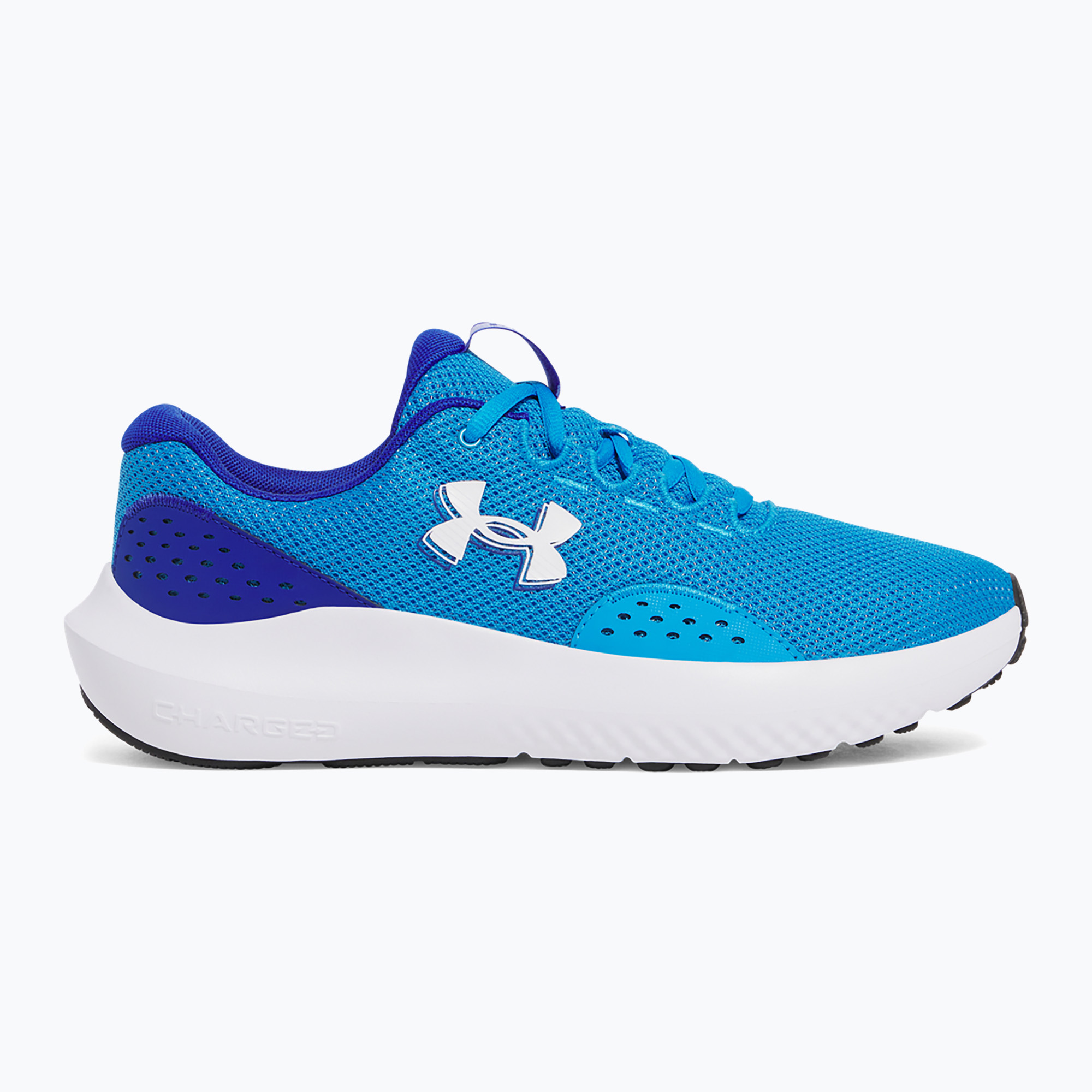 Buty do biegania męskie Under Armour Charged Surge 4 electric blue/royal/white 