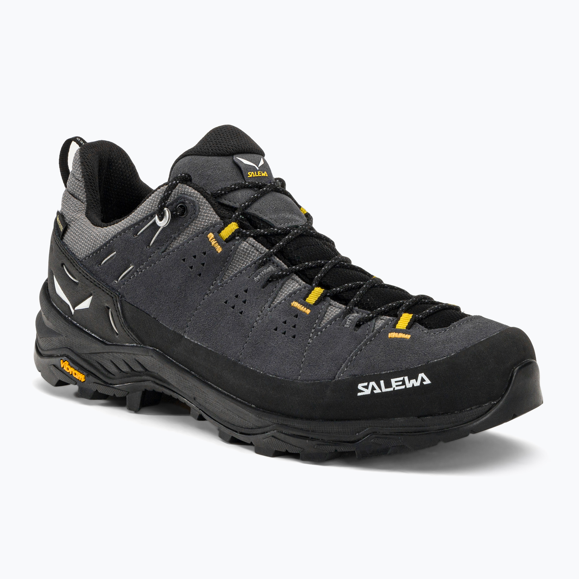 Buty trekkingowe męskie Salewa Alp Trainer 2 GTX onyx/black | WYSYŁKA W 24H | 30 DNI NA ZWROT