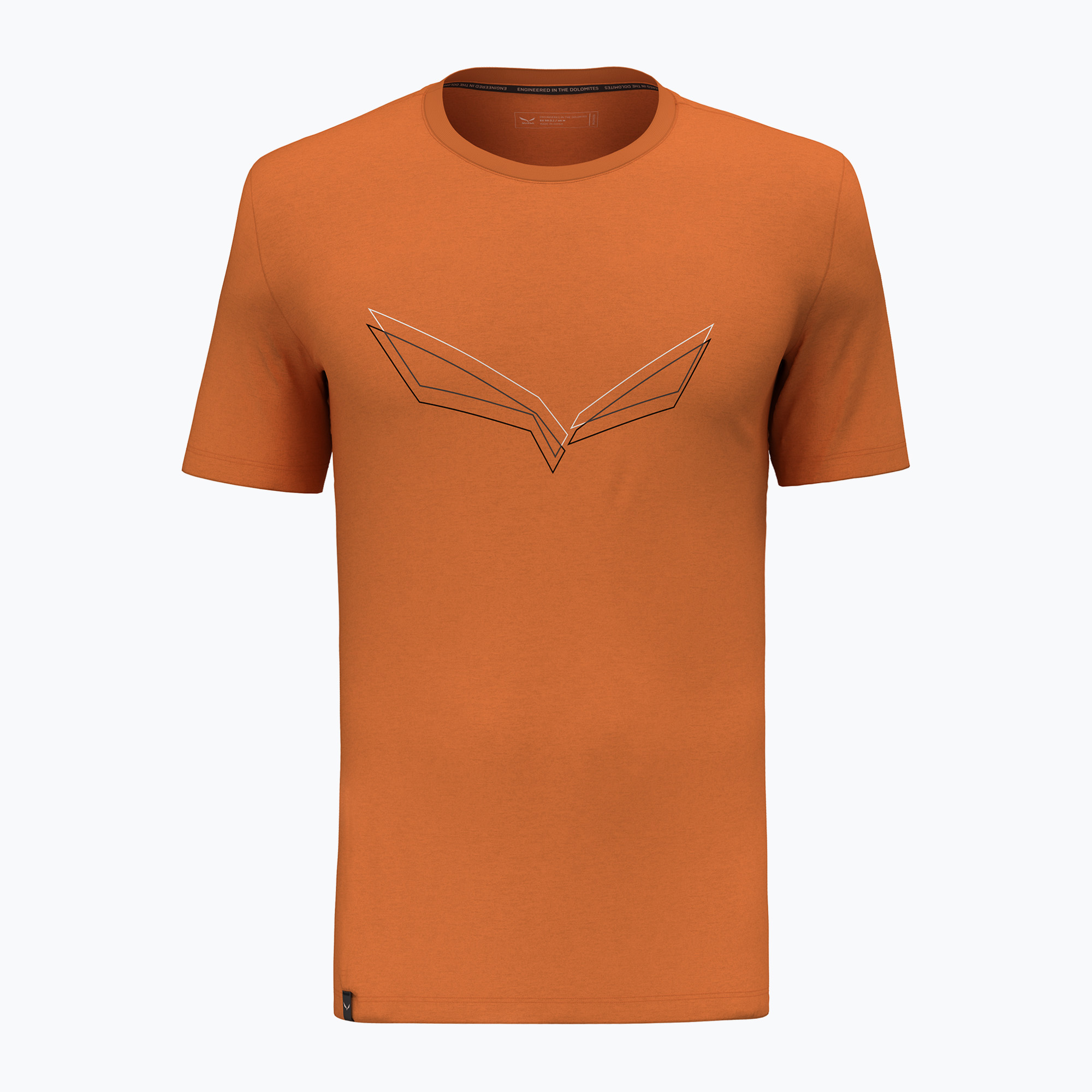 Koszulka męska Salewa Pure Eagle Frame Dry burnt orange | WYSYŁKA W 24H | 30 DNI NA ZWROT
