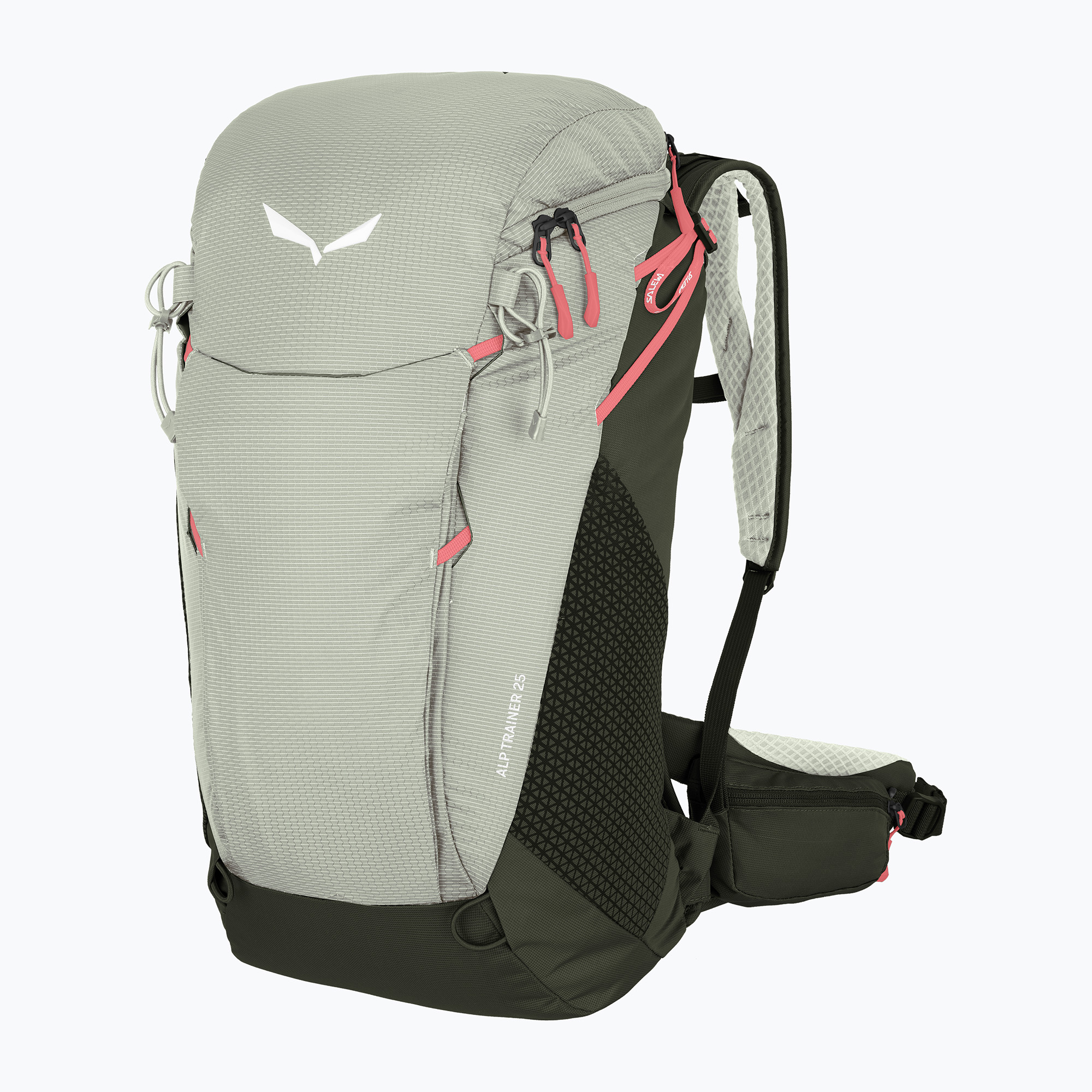 Plecak trekkingowy Salewa Alp Trainer 25 l shadow/dark olive 